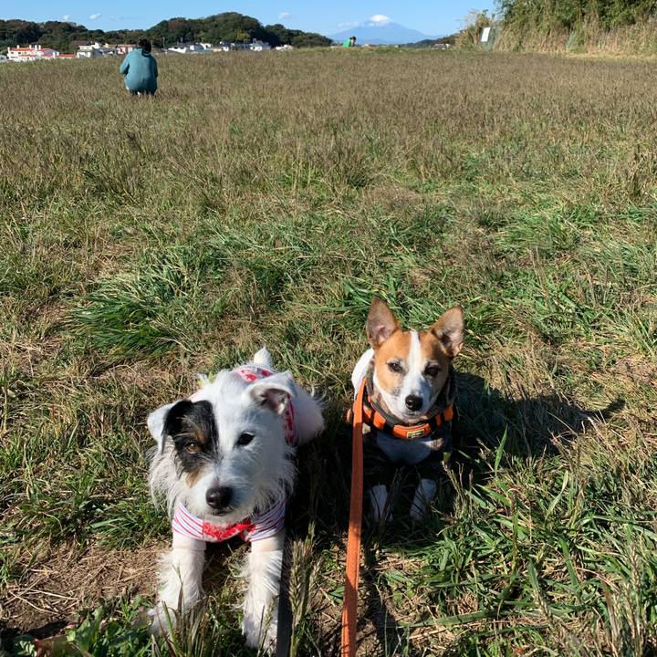 Bc0d6c6a ddb5 4b83 aee4 fad9e9aab645 1604452817119