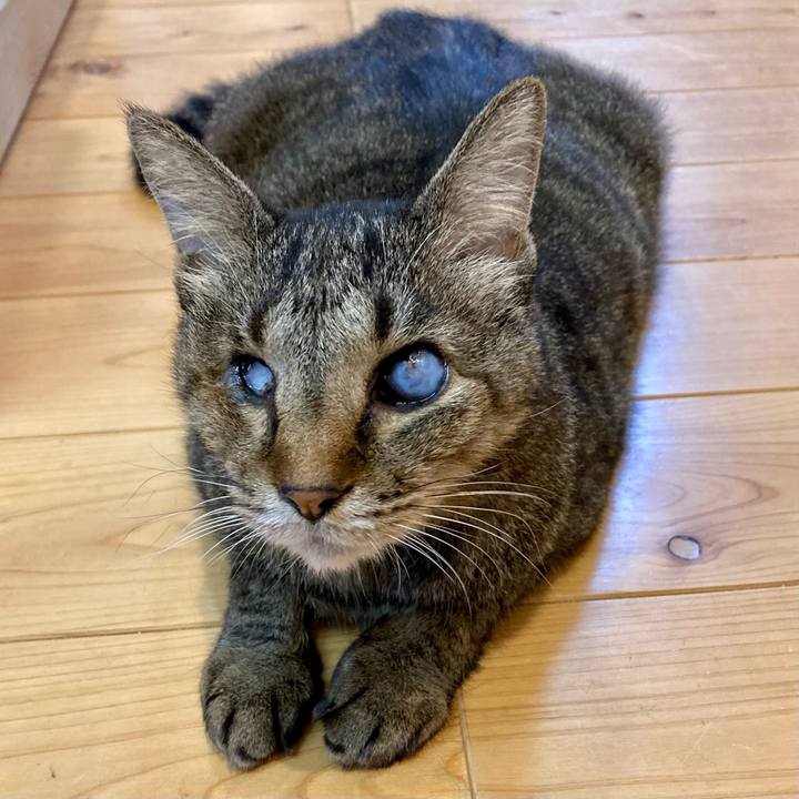 Bc0db86b 00ee 401d 9f73 c0ae860c0445 1665825181016