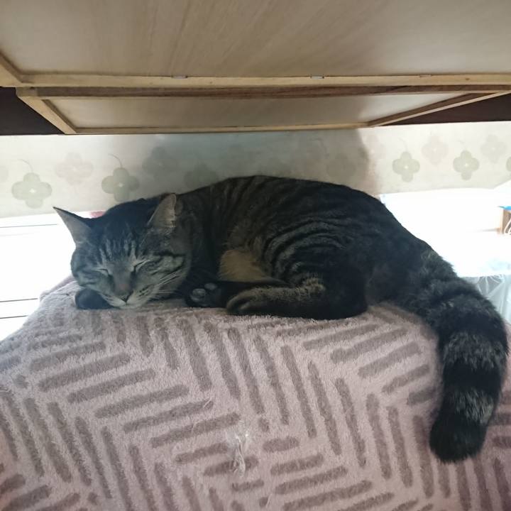 Bc0dd349 8a03 4361 b0a8 cabcc34e3841 1647571894818