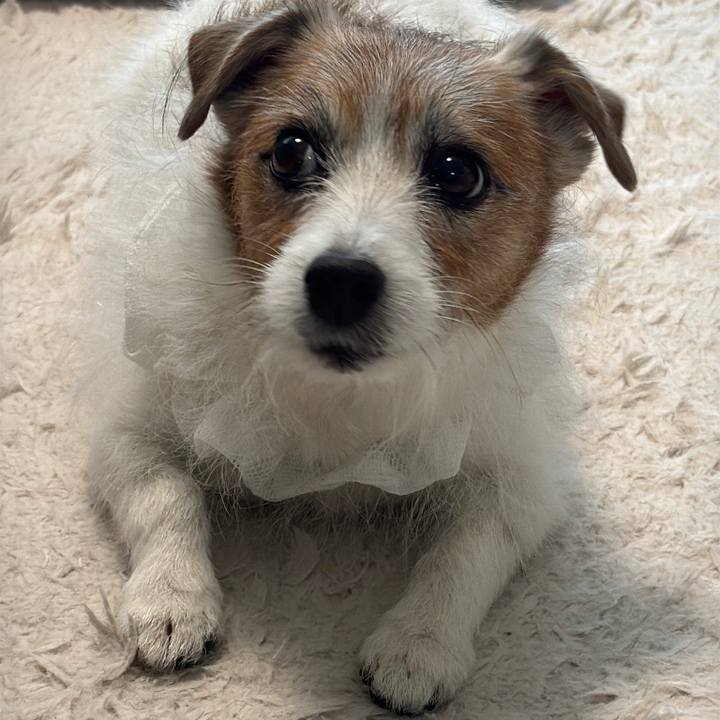 Bc0dd9a7 a569 48fb ba2e b4f8872e09d7 1736597171836