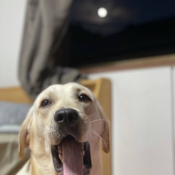 Bc0dd9c8 b0fa 4f38 8f25 57592ff0d0f8 1631960663495