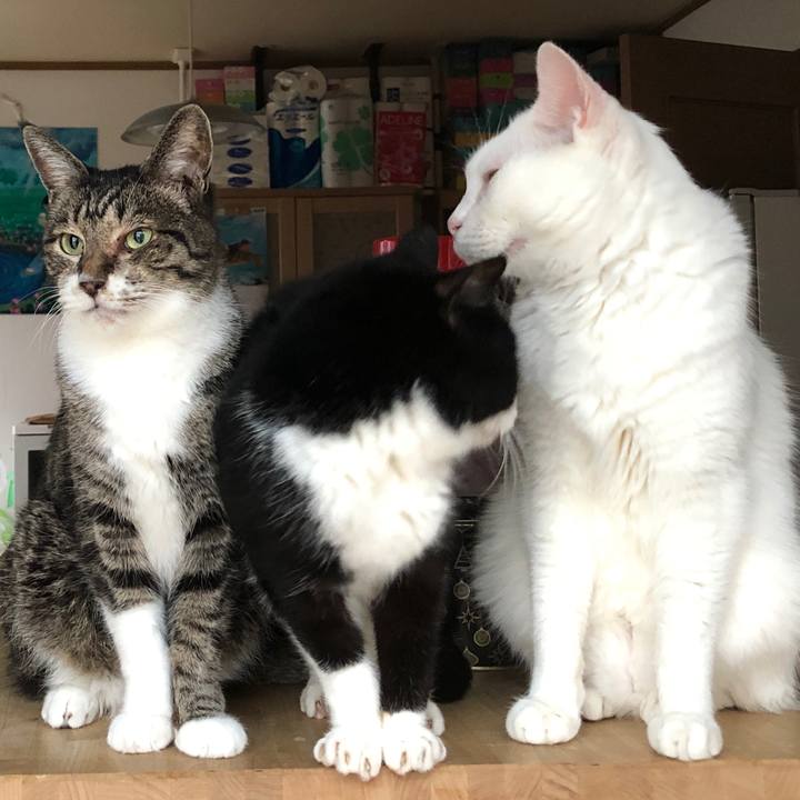 Bc0e2088 47ca 44df 9d6a 2f1453a9027a 1589233330082