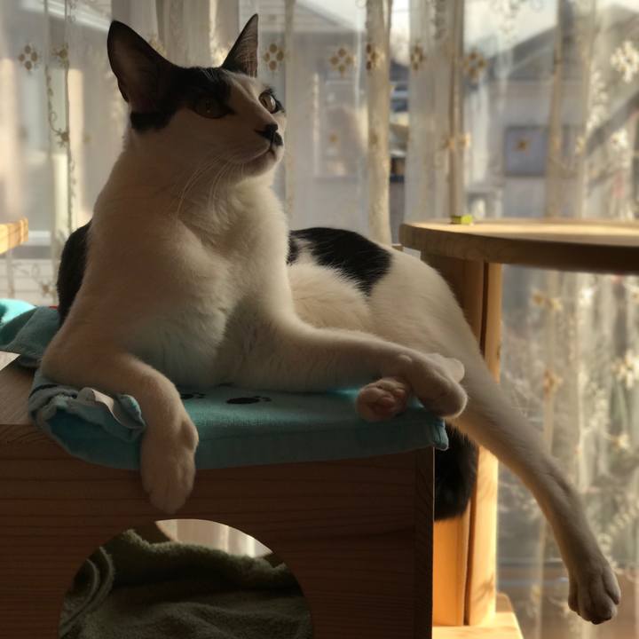 Bc0e414e 3d22 4a63 aaa7 ee30a63c4d7e 1513619130176