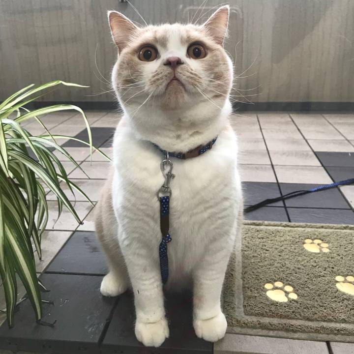 Bc0e5aaa 08b8 435b 9402 01ff0c93f056 1508727186743