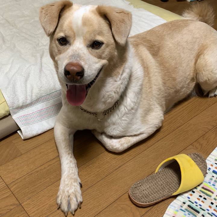 Bc0e8e43 6fa4 479a ac41 dacf8ecf873f 1559817964142