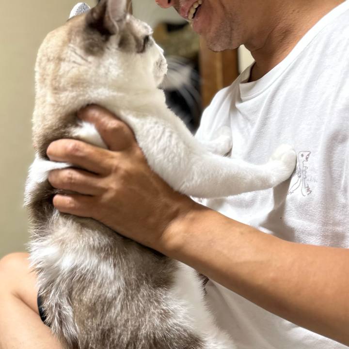 Bc0ebe94 9f75 459c bd70 4acfd3ca9aad 1759743492771