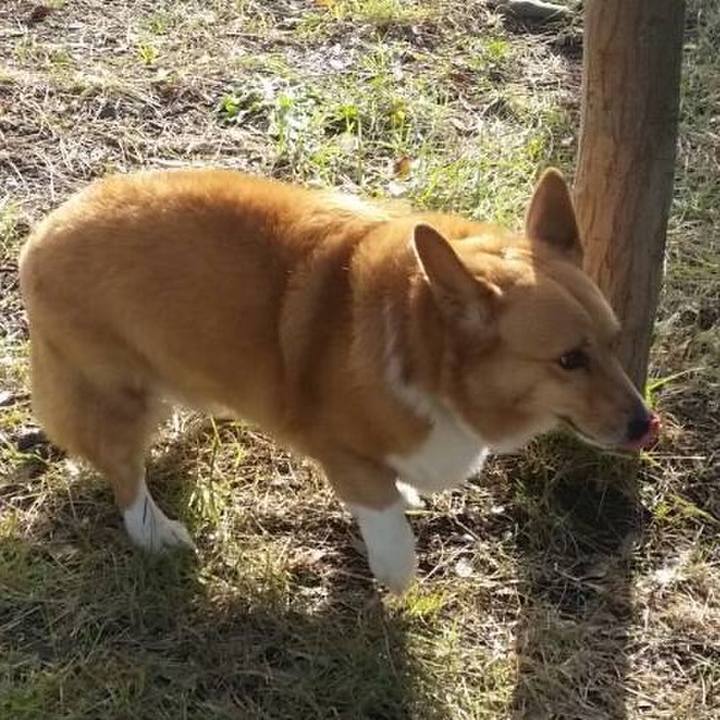 Bc0ed139 3cd4 410c a6cf ebe0c05e4dc1 1508129451849