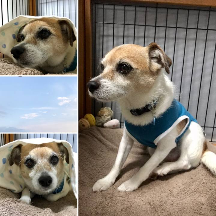 Bc0ed6fb 59c6 4ba2 b09f 71dc50ac6146 1623746068499