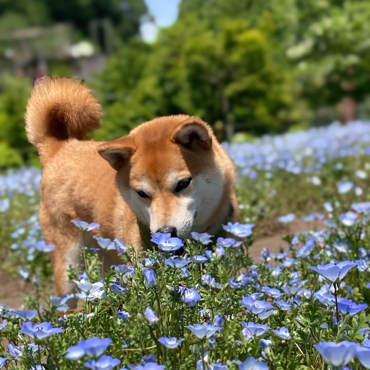 Bc0ef18e 9cf2 4ca0 ad5a 368c5bd0aa3a 1651993492841