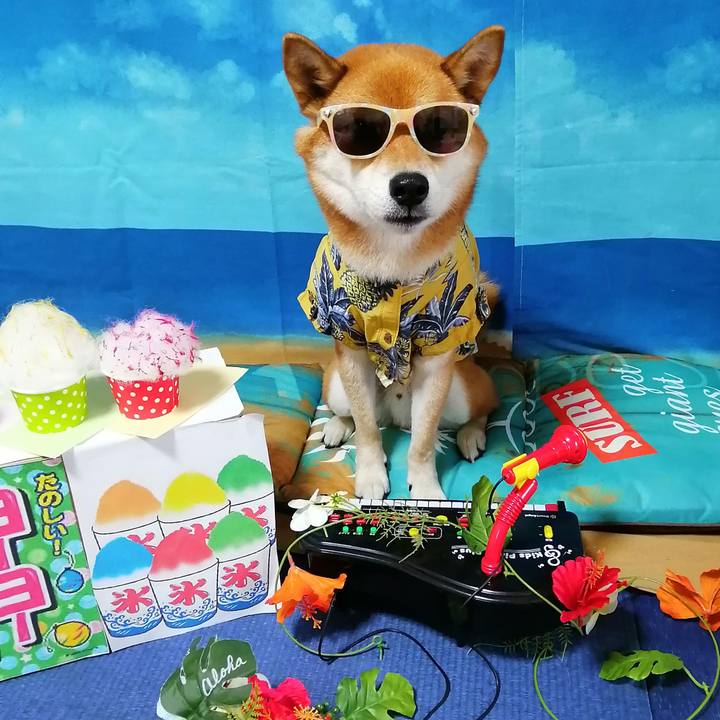 Bc0f02ca 4c6b 4c3a 8c49 f18e3e40ab5c 1597315622849