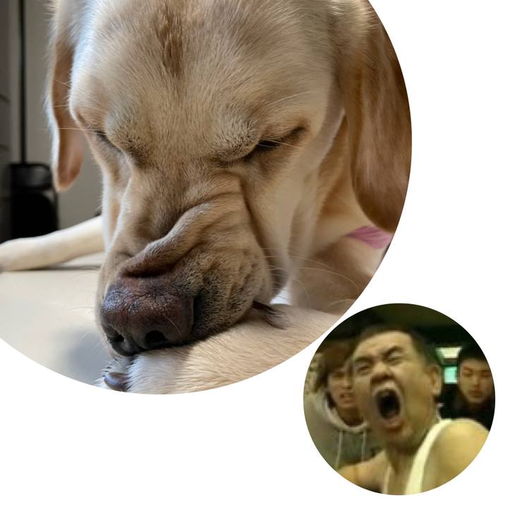 Bc0f1393 ab1e 4f36 97d8 3b1cb52f152c 1645797999562