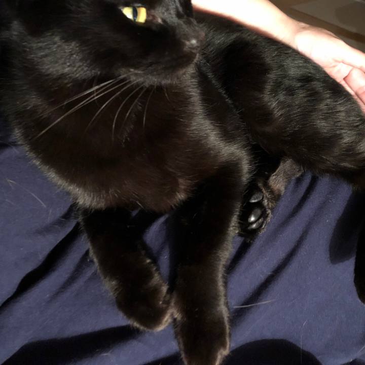 Bc0f1468 7f1e 497d 8f59 c9e7aeb107fb 1668596874886