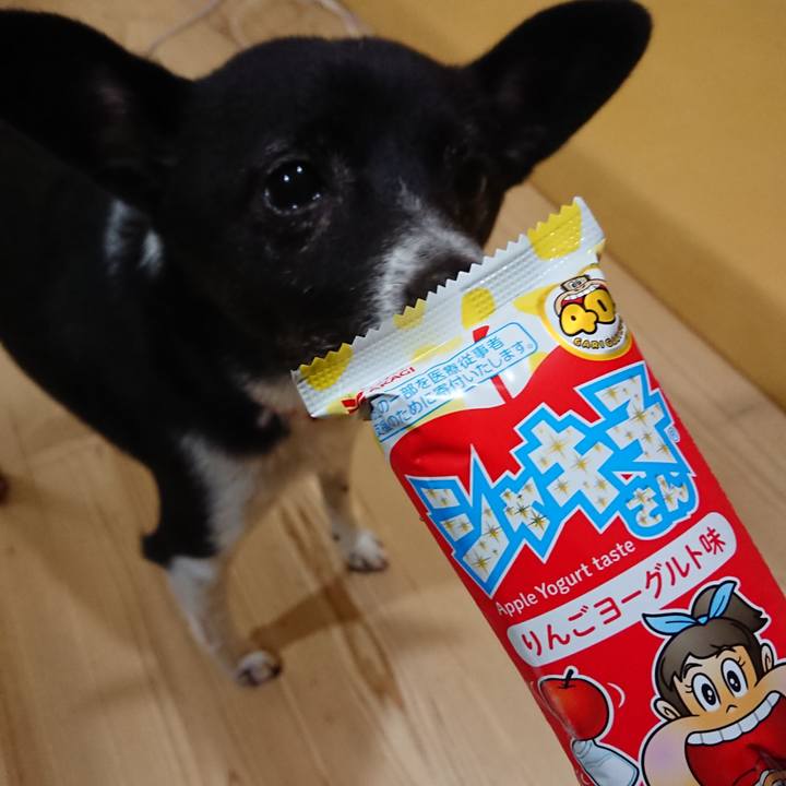 Bc0f5b14 968b 435e bad9 072e729f7fcd 1634384524173