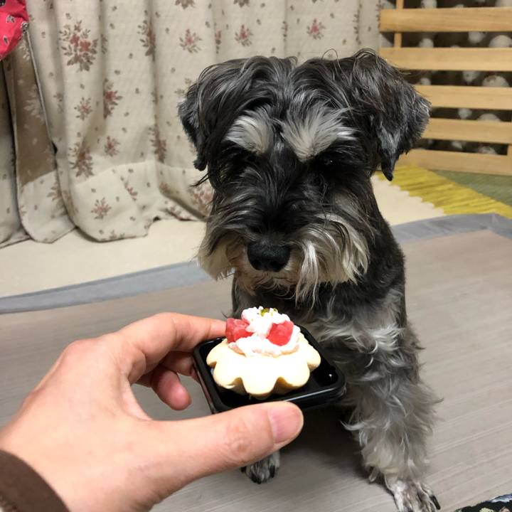 Bc0fab83 5b38 4514 b3c5 a25d4c3c5b66 1609852538963