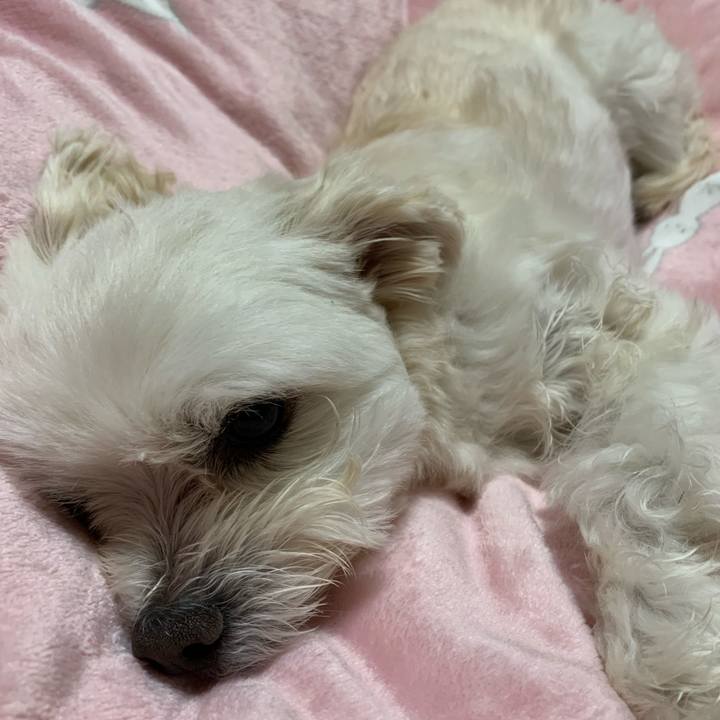 Bc0fb11c 9fb2 4d93 aad9 c48f9fa77e1b 1612090157310