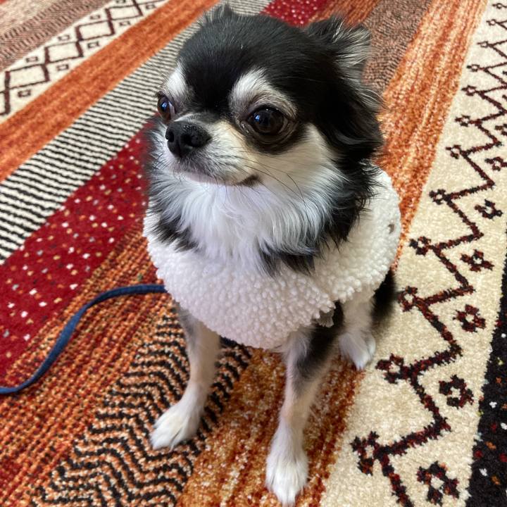 Bc0fb9b8 4c04 4ff9 b11c 9213ccf18a2a 1675525001593