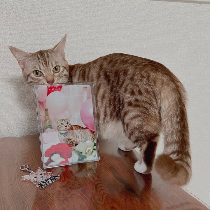 Bc107897 6935 4b95 9e05 44fdd804e490 1673742054622