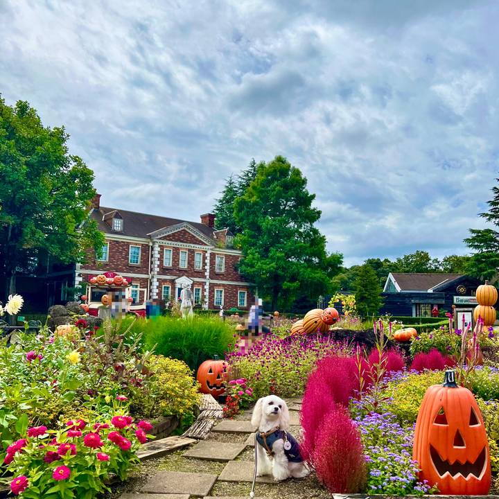 Bc109838 06e3 48b8 8ded 73ac9a391124 1666607947683