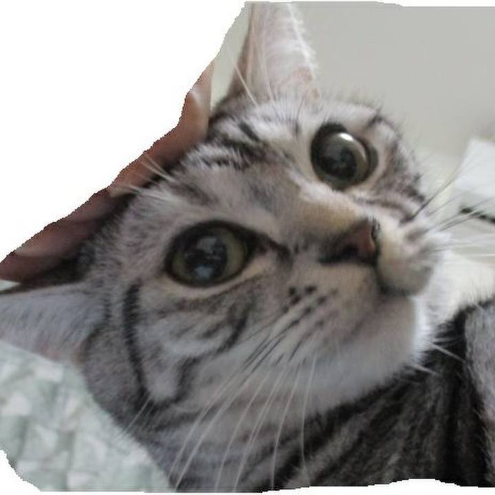 Bc109ec4 b8c2 4507 9c24 a5c03b8d7bfe 1548581506438