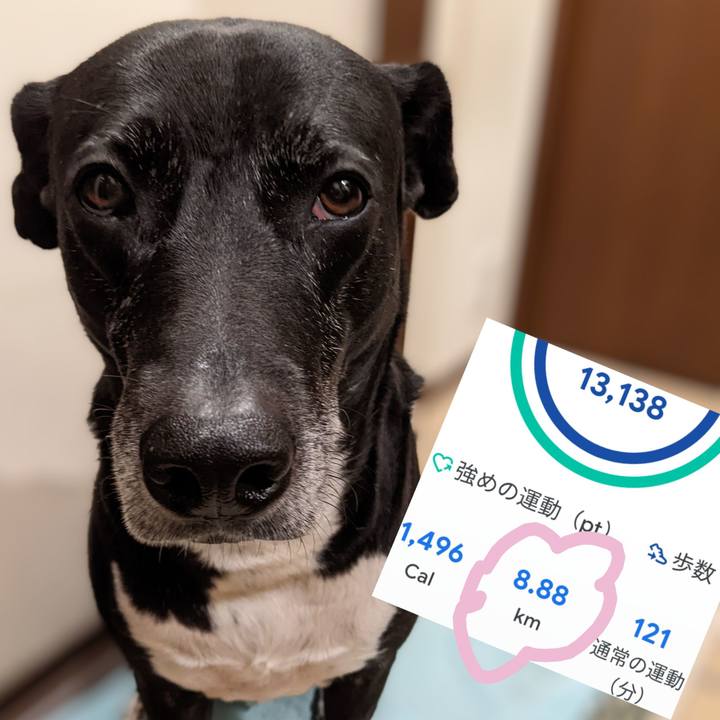 Bc10a022 cdde 40a8 aad0 76c87707b7e6 1707563247405