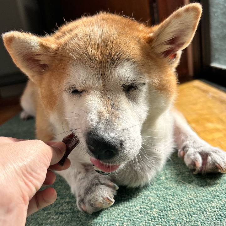 Bc10bf53 d9d5 45dd 9d51 6d969f65f7c5 1760684120702