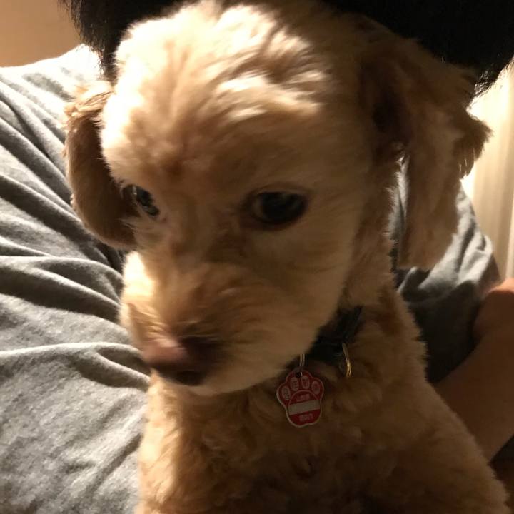 Bc10fa57 4b90 47e7 9bf9 56a84f936be9 1507805427341