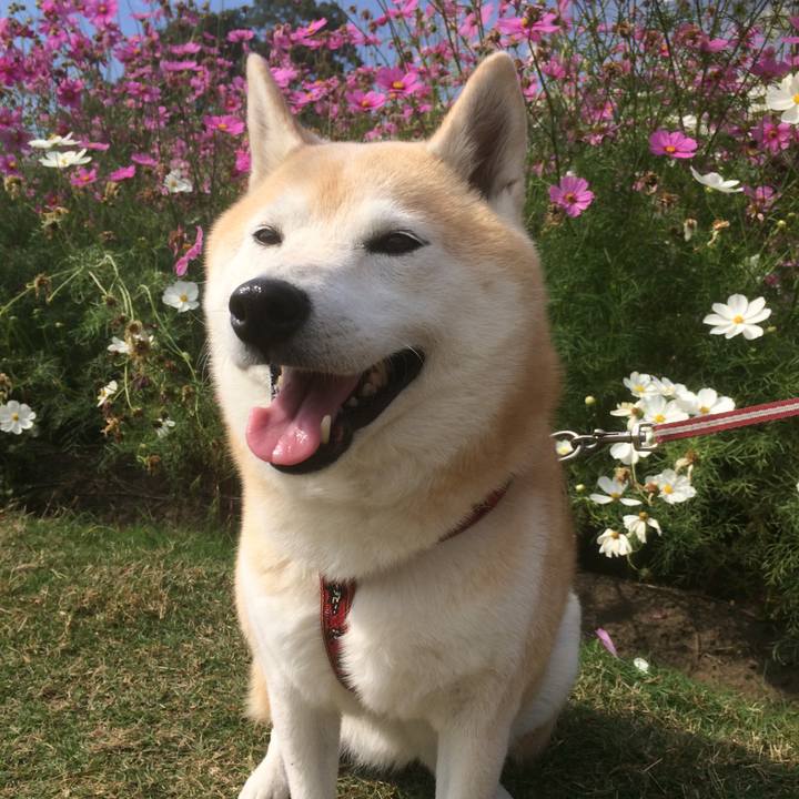 Bc11117b 8253 4870 916e ed410ae3ae3c 1582554779232