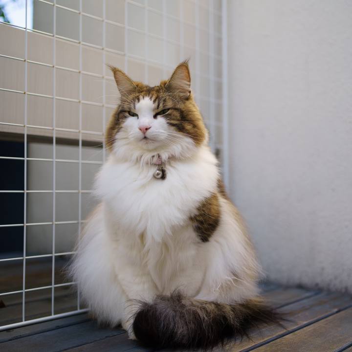 Bc112fb8 48c3 4981 9a67 088ffa659b98 1672901225191