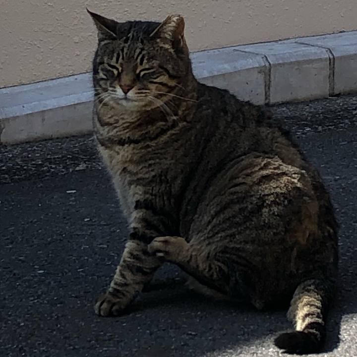 Bc11496c 9e42 416c a3c1 302ff2480b1e 1582884112959