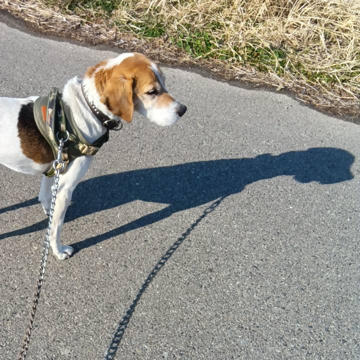 Bc117d78 a53b 4ea0 a936 0e25e03688f8 1738640107145