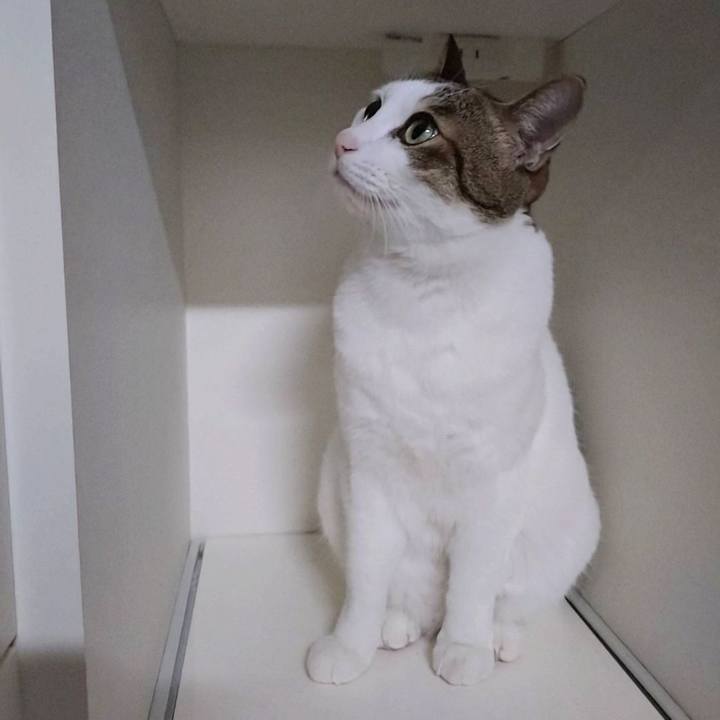 Bc117f5d 6c71 4ec6 a3bf 8b995ffe1185 1760525678181