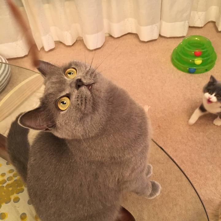 Bc119978 92da 406f 98cf 06e3f594b504 1509365702142