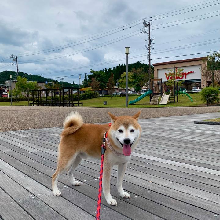 Bc11d878 fa3b 4b5a 85b1 bd528c76c3dc 1664880515432