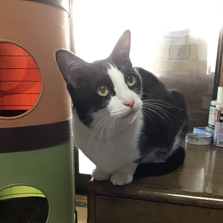 Bc11e49b 59da 4424 9666 3fd8c9ab6ff2 1743838092650