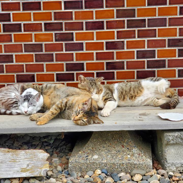 Bc11eb58 4f75 4630 bc5b cc7c35c1609c 1756129204481