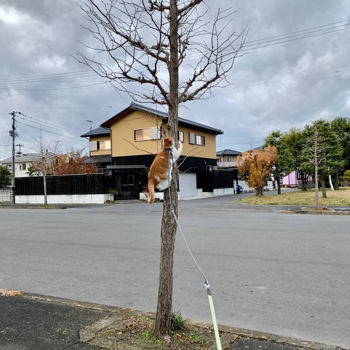 Bc11fc70 adc2 4298 84eb 4afc5569dc65 1575126163176