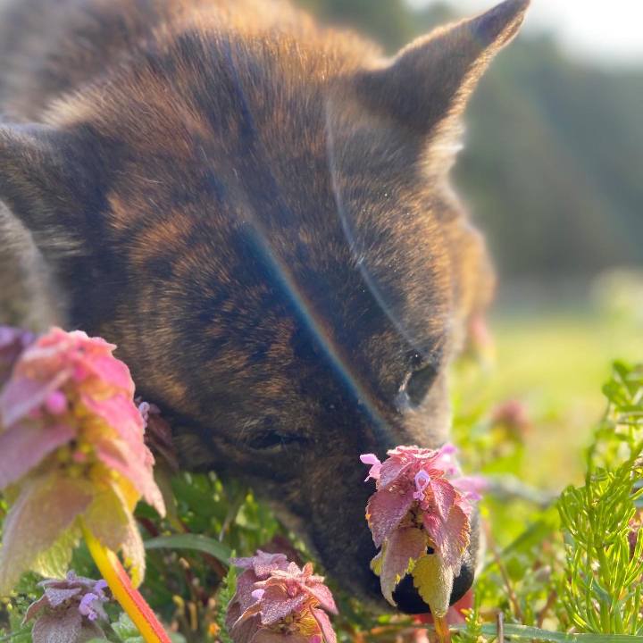 Bc12122e bda4 41fb 807f 5c88b232b8da 1586905330178