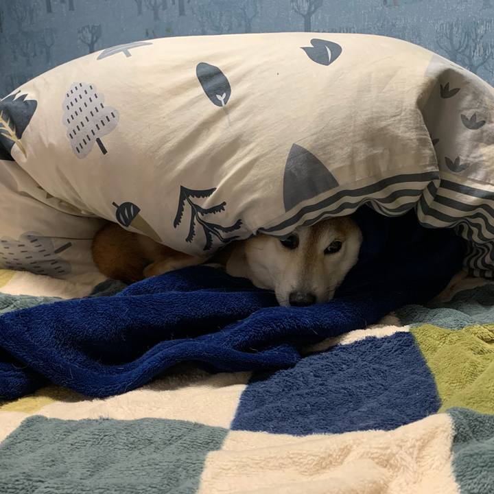 Bc123972 7486 441b 9250 e82a4bbee904 1619781965300