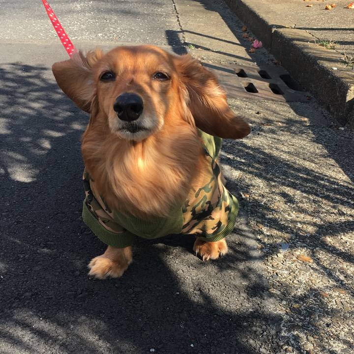 Bc124b09 fb86 4002 b7c6 9aa483332883 1520146929476