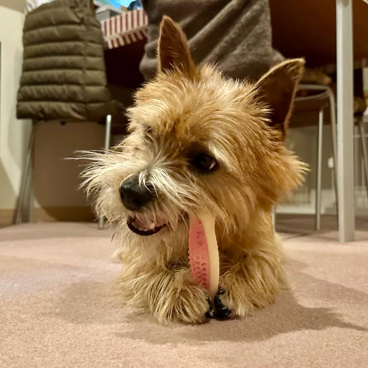 Bc126f77 b1ad 489c b157 e8533b362d41 1738506482640