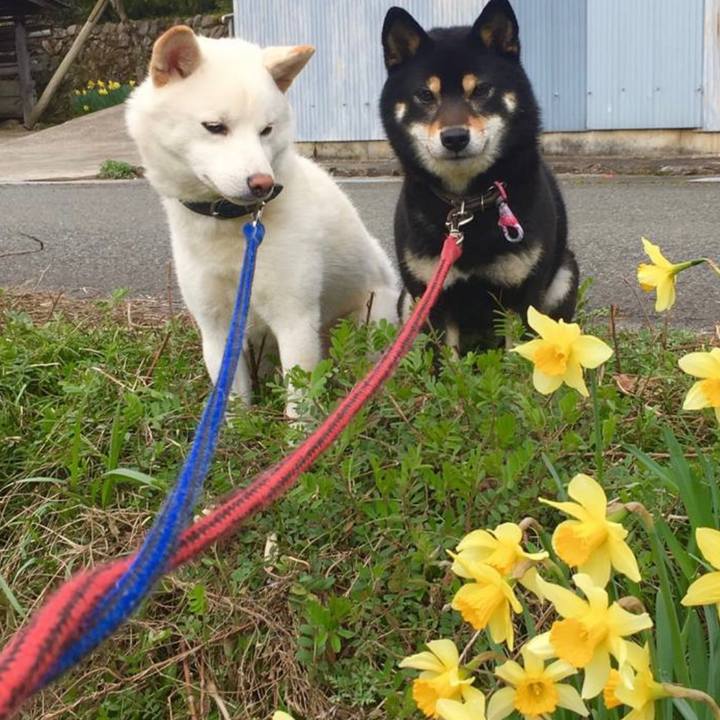 Bc12a3ba 0ddd 4f27 a827 4fcce4b7f7ad 1622849617473