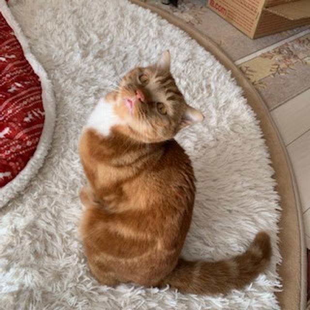 Bc12a911 3503 4bd3 ac6f 9b800e58690e 1546494969654