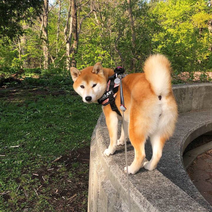 Bc12c6f4 7d4e 405a 85d7 2ed1eac15a8f 1557462326586