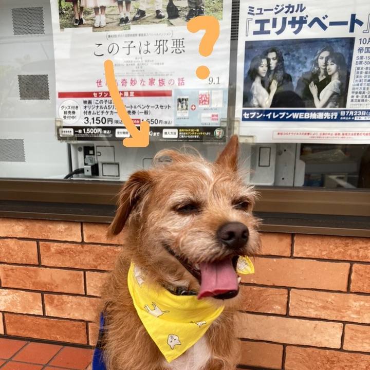 Bc12caed c182 4a09 be6f 76ff0b60a493 1658751305986