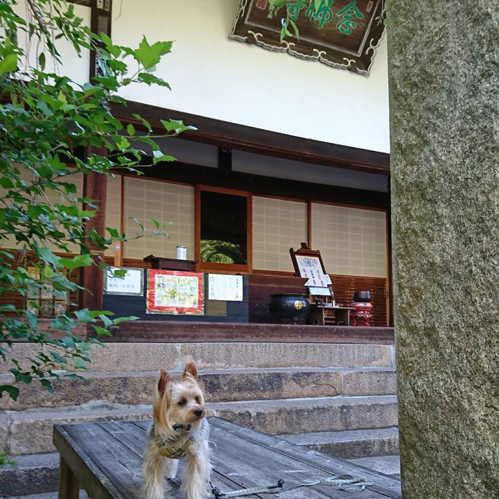 Bc12f6e6 771e 4b61 ae11 f331467121d8 1561415281139