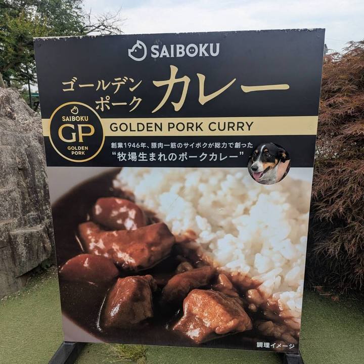 Bc1310b4 d4fe 4ed1 8db6 c855d0271077 1749471344501