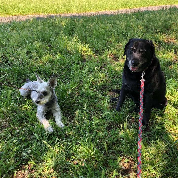 Bc137961 befe 4db6 96f2 784082dca8c7 1590751943296