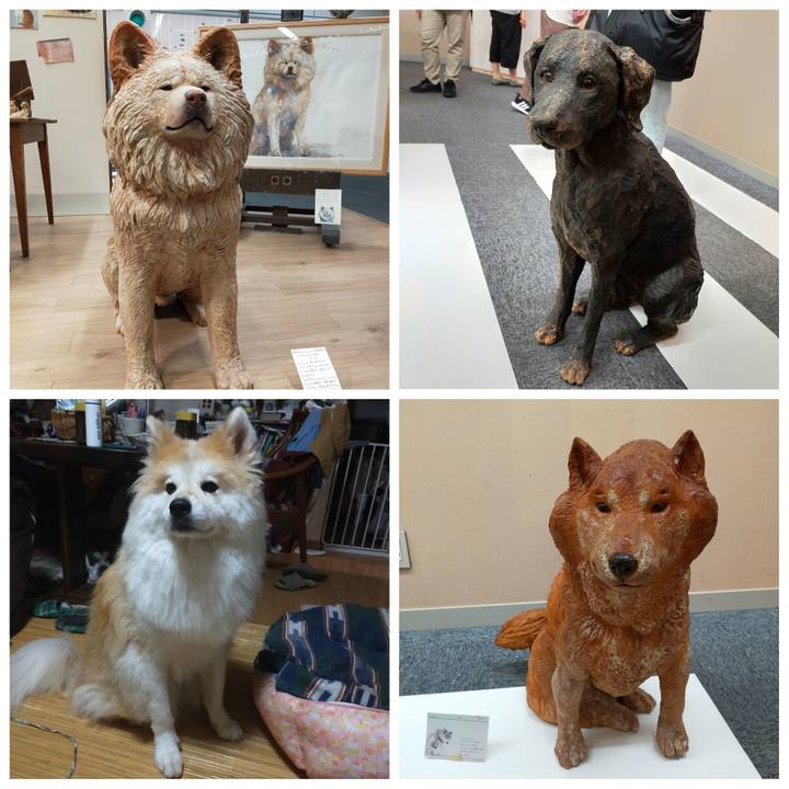 Bc138d06 cbac 40b4 af99 1453e6c34f2b 1633178930417