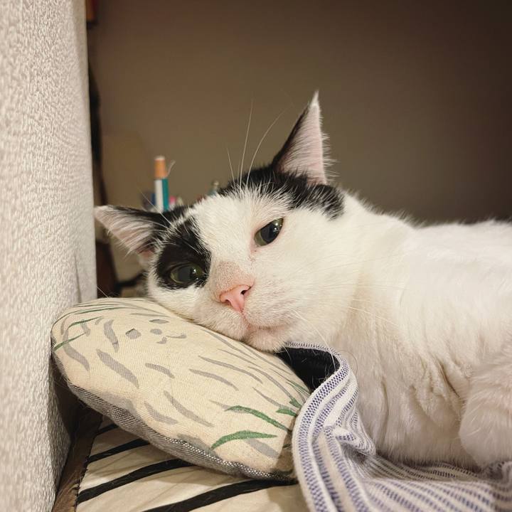 Bc1396dc 6b17 417d 9c2a d4feecc106b8 1628504952310