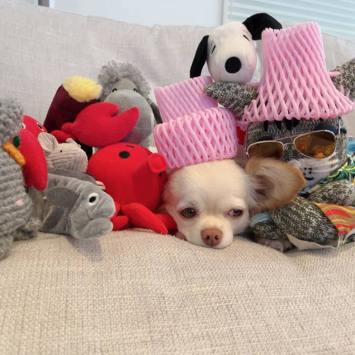 Bc13b65c f9ff 4a2b 9c80 350a10bd0d81 1691311179326